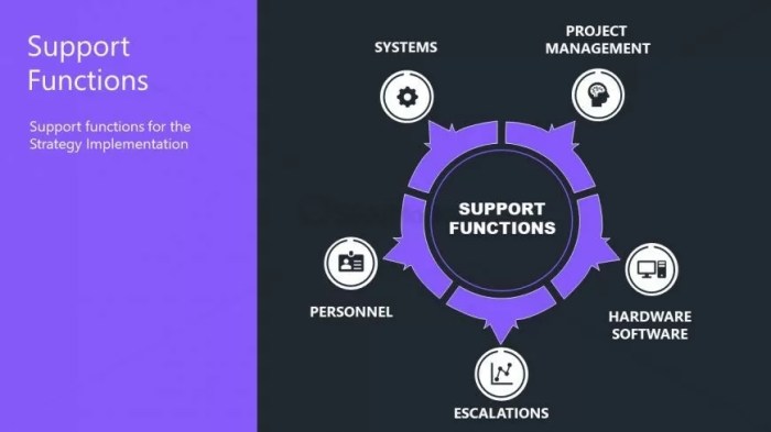 Entrepreneur role