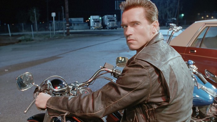 Terminator dicebreaker