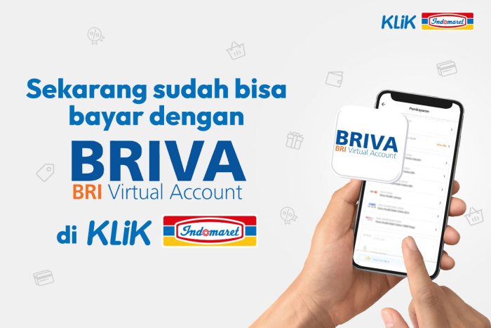 Penipuan briva