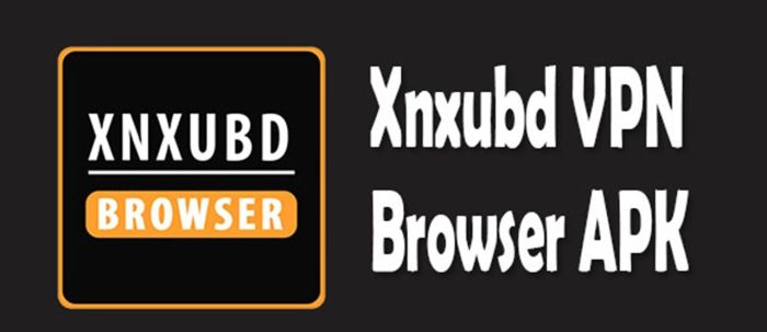Xnxubd vpn browser apk v3.0.0 anti blokir versi terbaru 2023