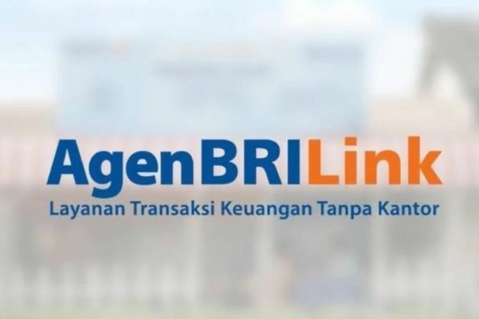 Brilink agen daftar keuntungannya modal bagikan