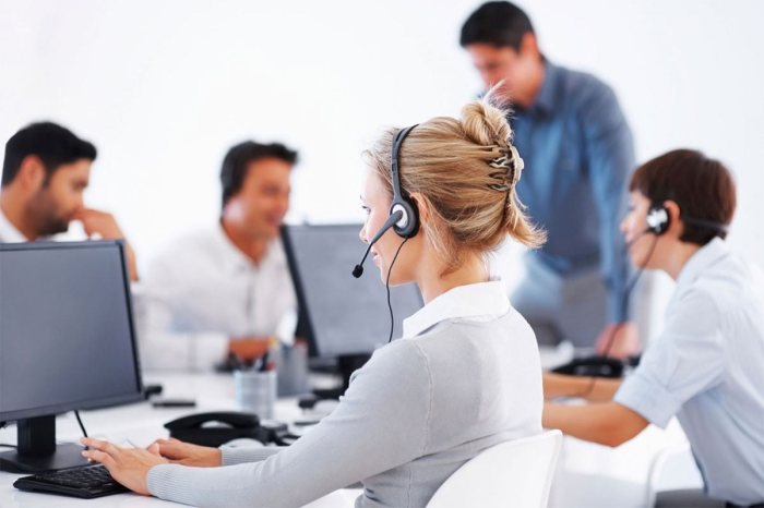 Web sales agent