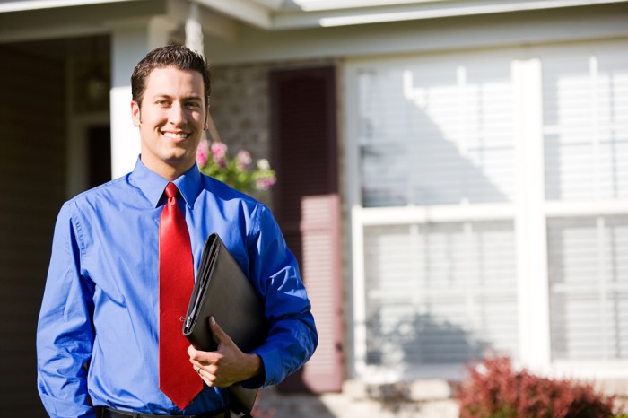Web sales agent