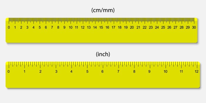 Ruler pathology rulers metric millimeters millimeter mopec teachers