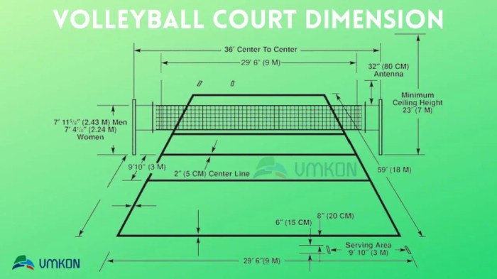 Ukuran panjang dan lebar lapangan bola voli mini adalah
