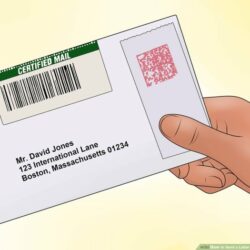 Jelaskan kriteria dari surat penting