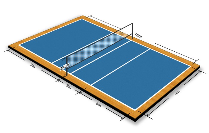 Dimensions volleyball court ground playo here